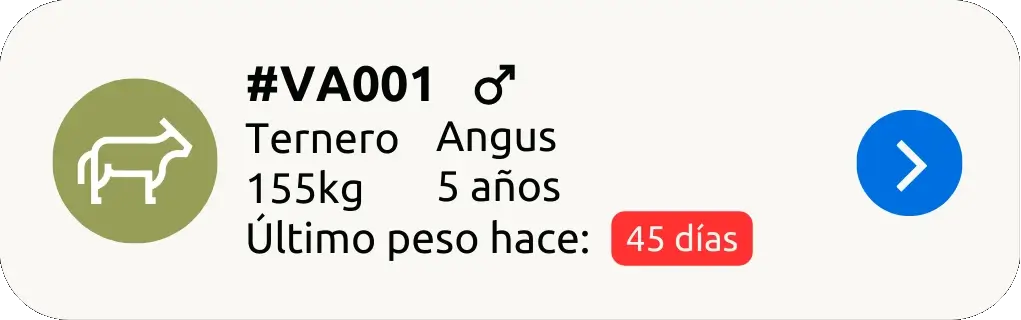 Arrealo - Tarjetas del mockup - Animal