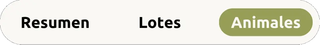 Arrealo - Tarjetas del mockup - Selector